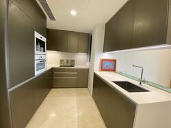 Cairnhill Nine (D9), Apartment #305252321